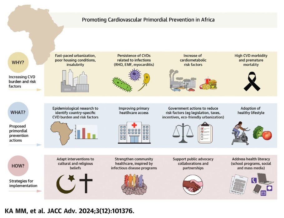 Cardiovascular Research Initiative Africa